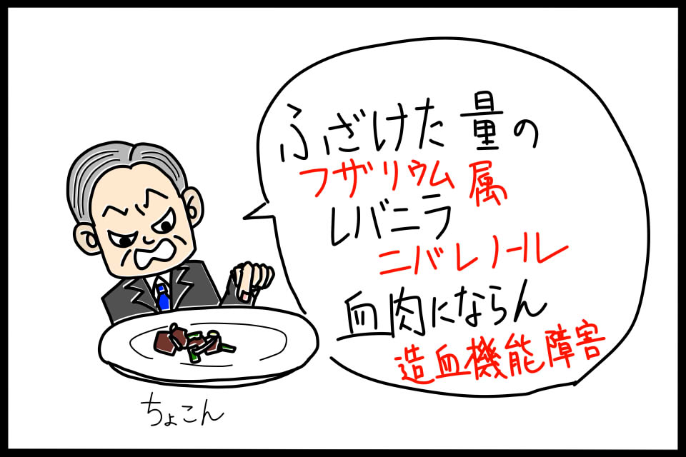 フザリウム属のマイコトキシンであるニバレノールを暗記するためのゴロイラスト